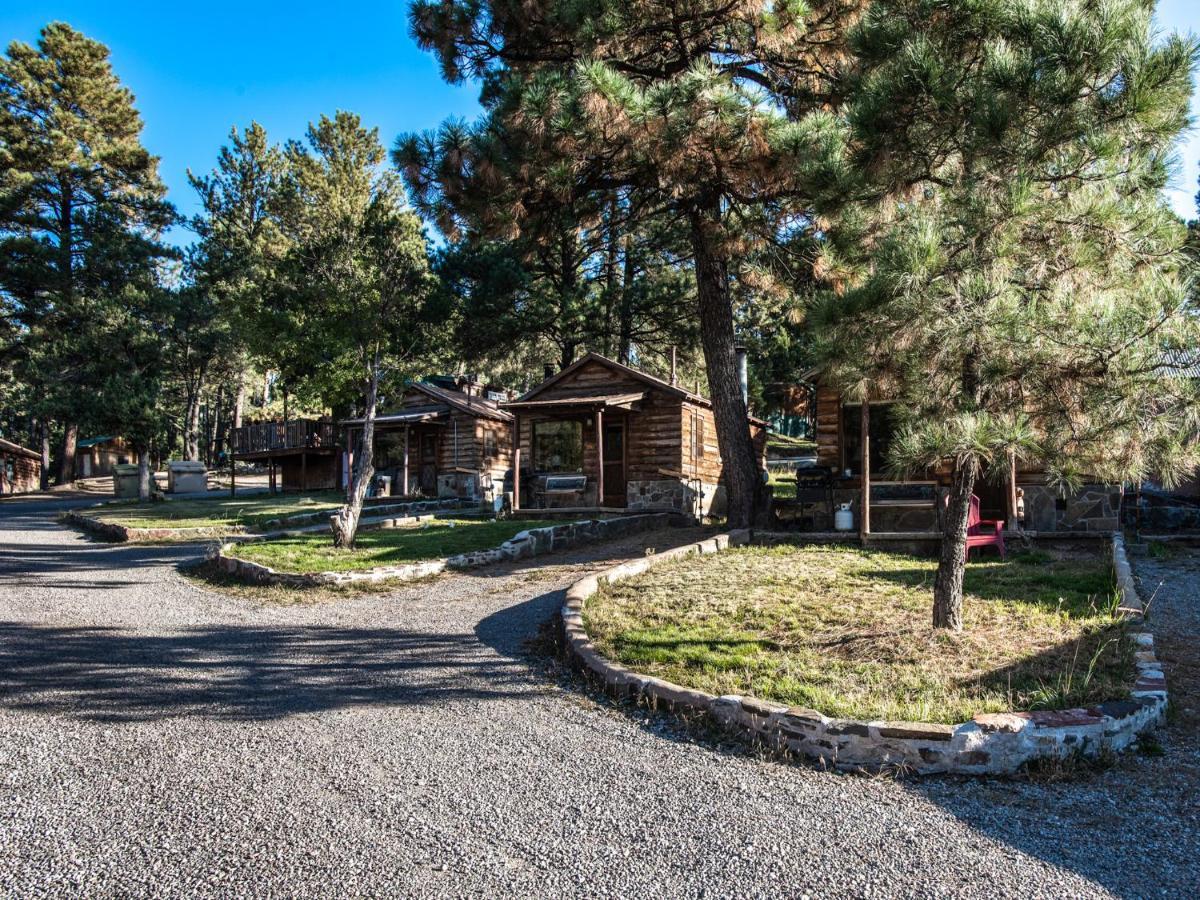 Country Cabin, 2 Bedrooms, Fireplace, Midtown, Sleeps 6 Ruidoso Ngoại thất bức ảnh